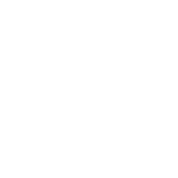 LinkedIn icon